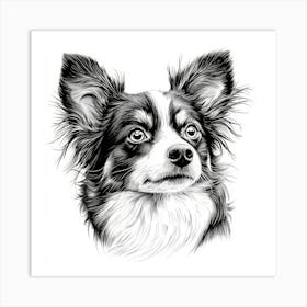 Papillon 1 Art Print