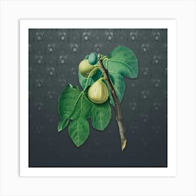 Vintage Fig Botanical on Slate Gray Pattern n.1227 Art Print
