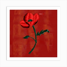 Red Poppy Art Print