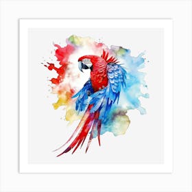 Colorful Parrot 15 Poster