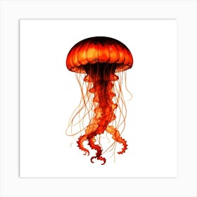 Jellyfish 2 Art Print