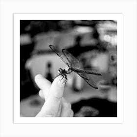 Black And White Dragonfly Art Print