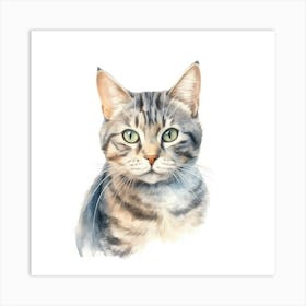 American Shorthair Cat Portrait Art Print