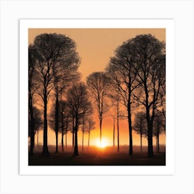 Sunset In The Woods Art Print