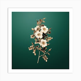Gold Botanical Thornless Burnet Rose on Dark Spring Green Art Print