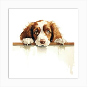 Spaniel Welsh Springer 1 Art Print