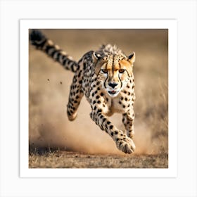 Cheetah Running Art Print