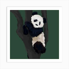 Panda Bear In Tree Art Print