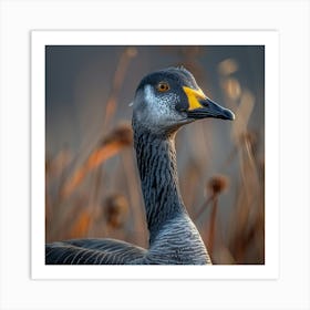 Goose Art Print