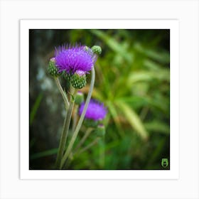 Thistle Flower 20210824 63ppub Art Print