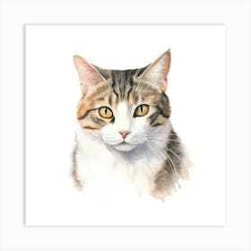 American Wirehair Cat Portrait 2 Art Print