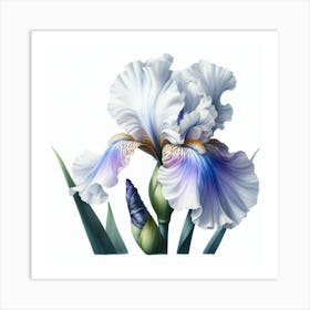 Flower of Iris 3 Art Print