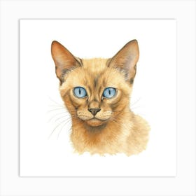 Burmese Champagne Cat Portrait Art Print