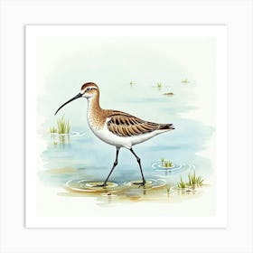 Sandpiper Art Print