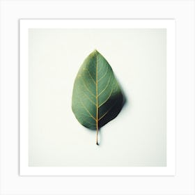 Eucalyptus Leaf 14 Art Print