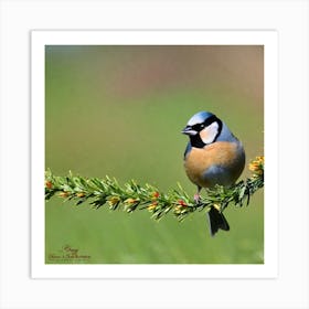 Tit on branch 33 Art Print