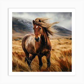 Horse In The Grass 3 Art Print