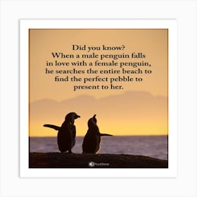 Penguins Quotes Art Print