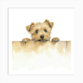 Yorkshire Terrier 17 Art Print