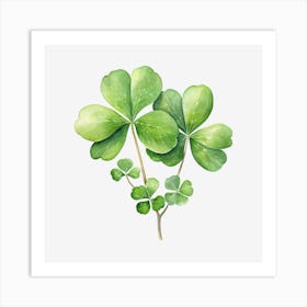 Four Leaf Clover 13 Art Print