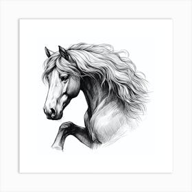 Horse Head Drawing 2 Art Print