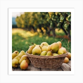 Pears In A Basket 2 Art Print