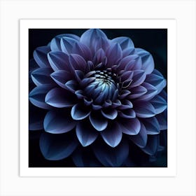 Dark Purple Dahlia Art Print