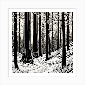 Path In The Woods Art Print