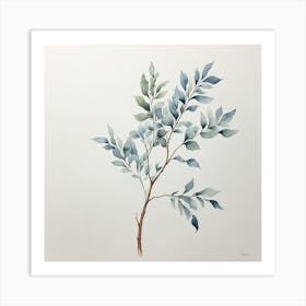 Eucalyptus Art Print