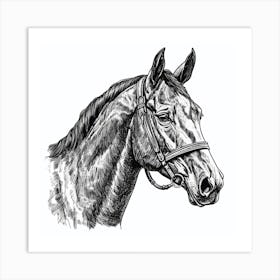 Horse Head Vector Illustration Art Print