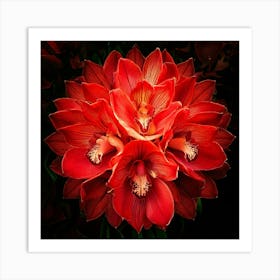 Firefly Explosion, Red, Orchids, Vibrant, Colorful, Floral, Dynamic, Dramatic, Vivid, Petals, Burst, (10) Art Print