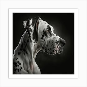 Portrait Of A Dalmatian Dog Art Print