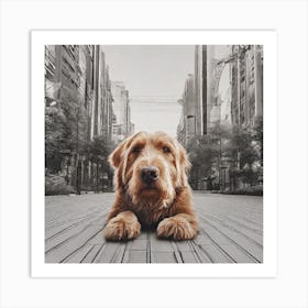 Dog In The City Art Print