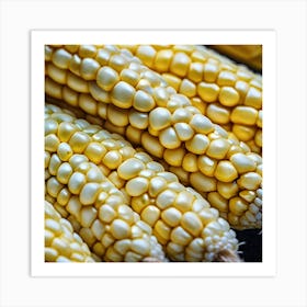 Corn On The Cob 28 Art Print