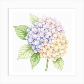 Delicate Watercolor Hydrangeas Blooming In Soft Hues Art Print