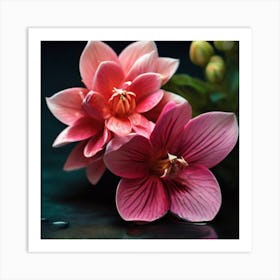 Pink Flowers On A Black Background Art Print