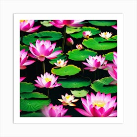 Lotus Flower 14 Art Print