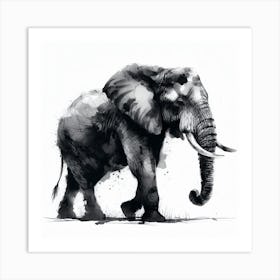 Elephant Canvas Print Art Print