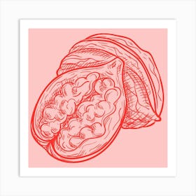 Pomegranate 4 Art Print