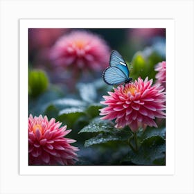 Butterfly On Dahlia Flower Art Print