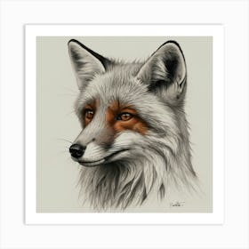 Fox Drawing 2 Art Print