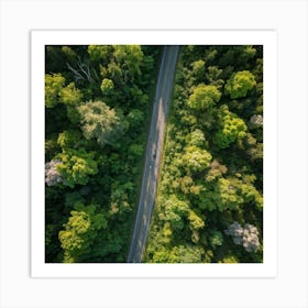 Aerial Photography Captures The Lush Expanse Of A Green Forest In The Height Of Spring Interplay Of (5) Art Print