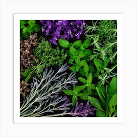 Herbs As A Background (24) Art Print