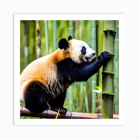 Panda Bear Climbing Bamboo Art Print