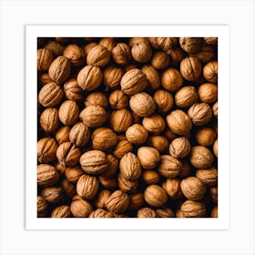 Walnuts 8 Art Print