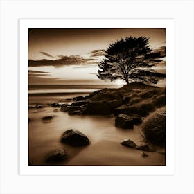 Lone Tree 34 Art Print