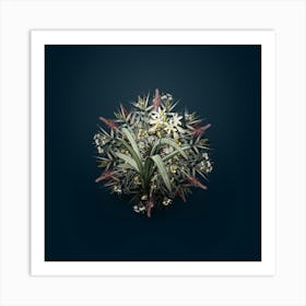 Vintage Pancratium Illyricum Flower Wreath on Teal Blue n.1410 Art Print