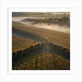 Aerial View Of A Foggy Morning Art Print