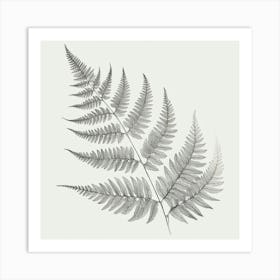 Line Art fern leaves 1 Art Print