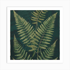 Fern Leaves 3 Art Print